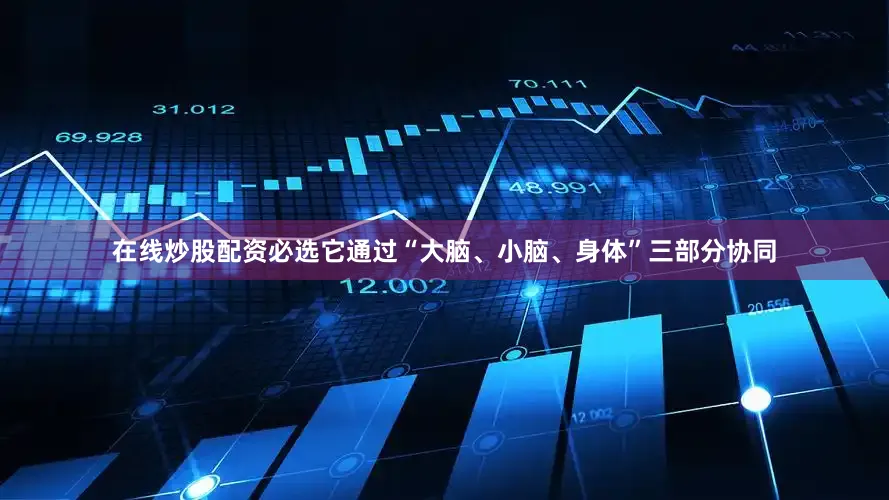 在线炒股配资必选它通过“大脑、小脑、身体”三部分协同